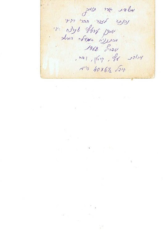 גב התמונה של הוויט של אמנון.jpg