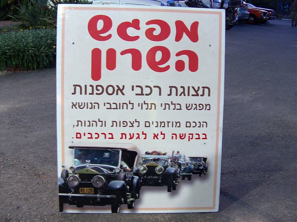מפגש השרון  30.11.12 071.jpg