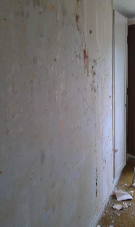2011-08-05 13.40.09.jpg