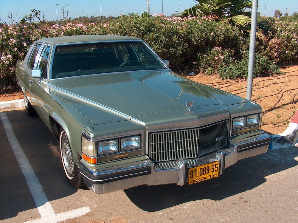 מפגש השרון בגעש  10.7.15 001.jpg