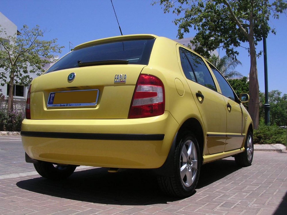 new fabia 100-1.jpg