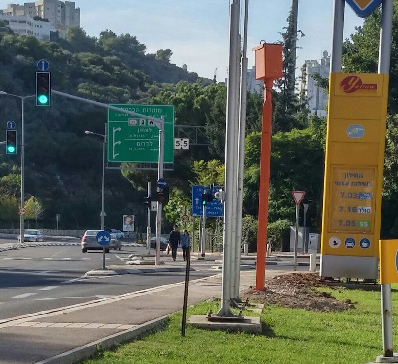 שמחה גולן.jpg