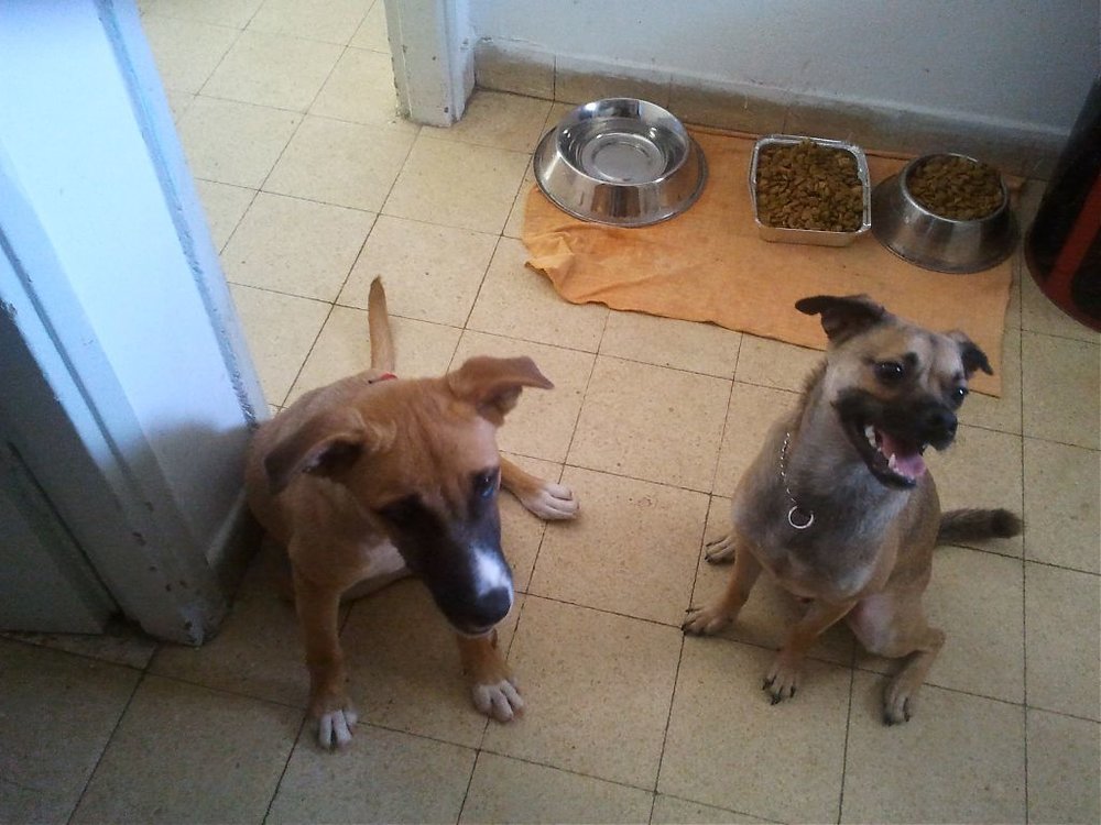 2011-07-30 13.21.58.jpg