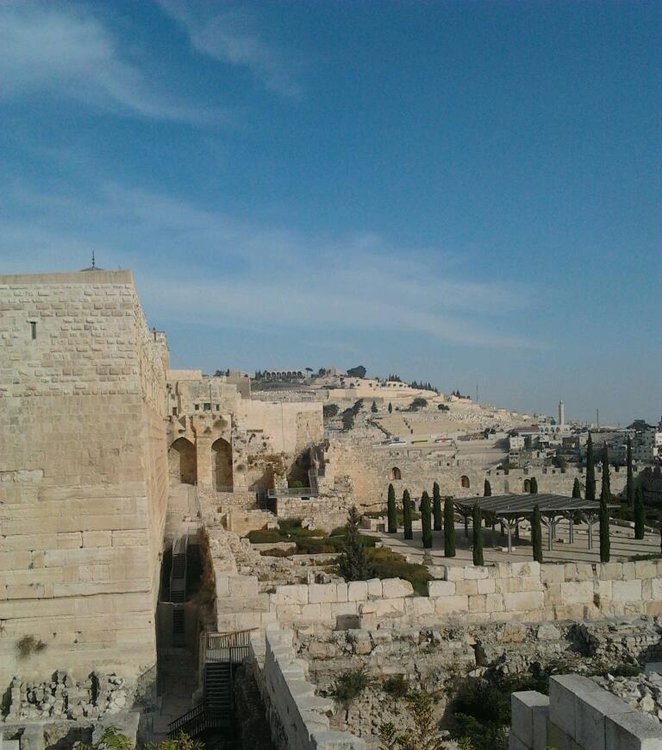 2013-11-25 13.56.44-1.jpg