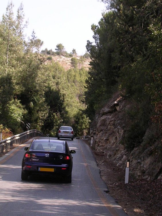 טיול-4.jpg