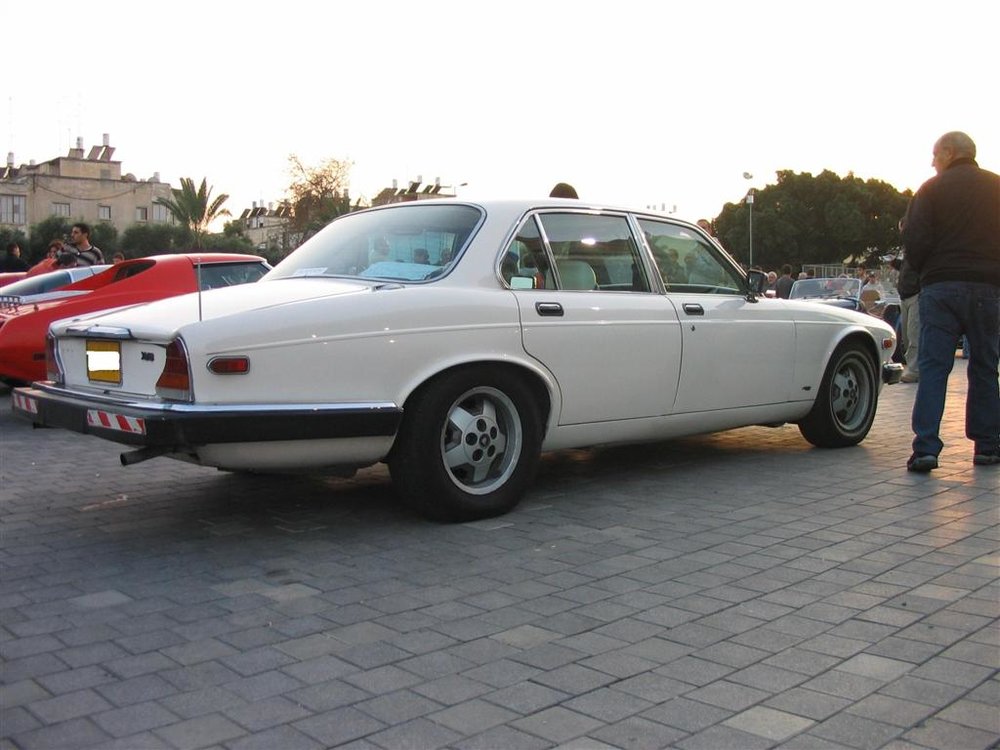 2 (Large).JPG