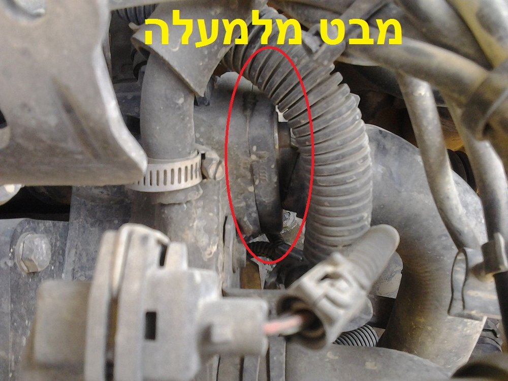 2011-11-26 12.30.48.jpg