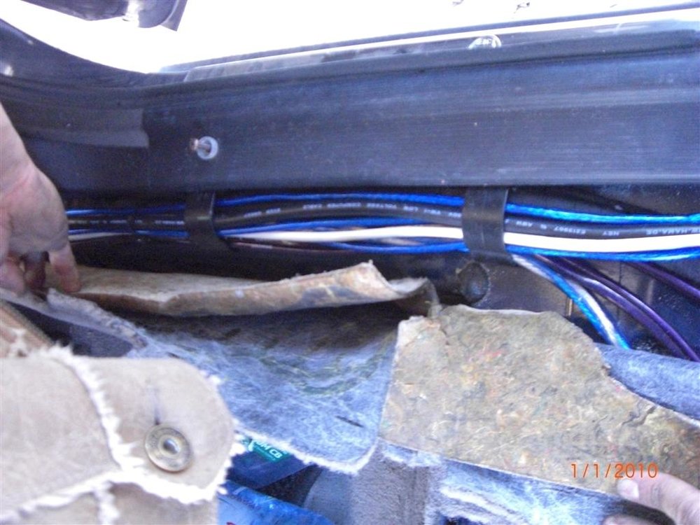 CIMG2534 (Large).JPG