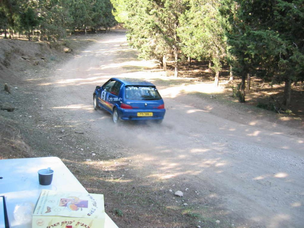 Picture 010.jpg