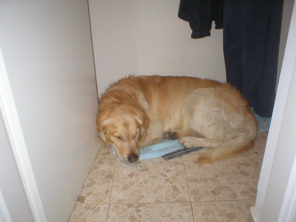Picture 016.jpg