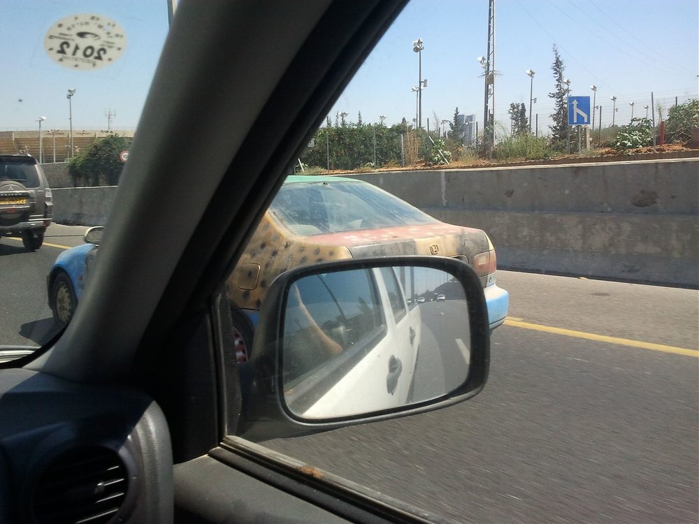 2013-07-29 14.39.30.jpg