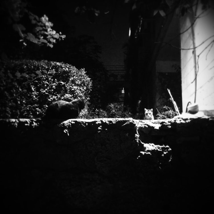 20141112_220547_Night~2~2.jpg