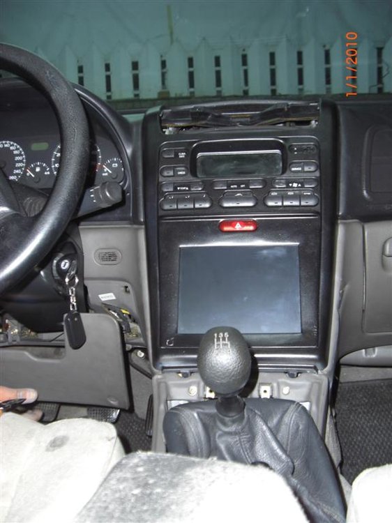 CIMG2561 (Large).JPG