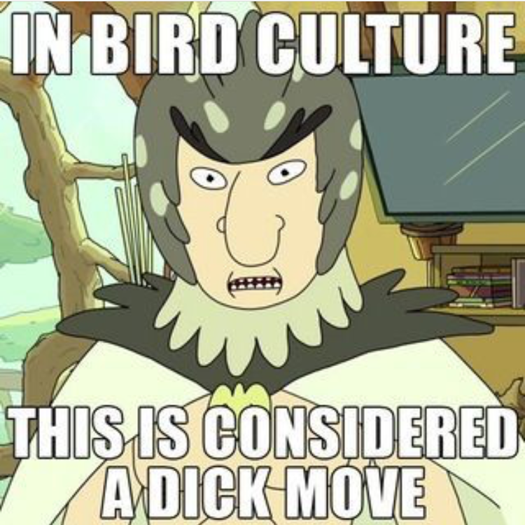 14e32f232eb254262a8abf96afc011be.png
