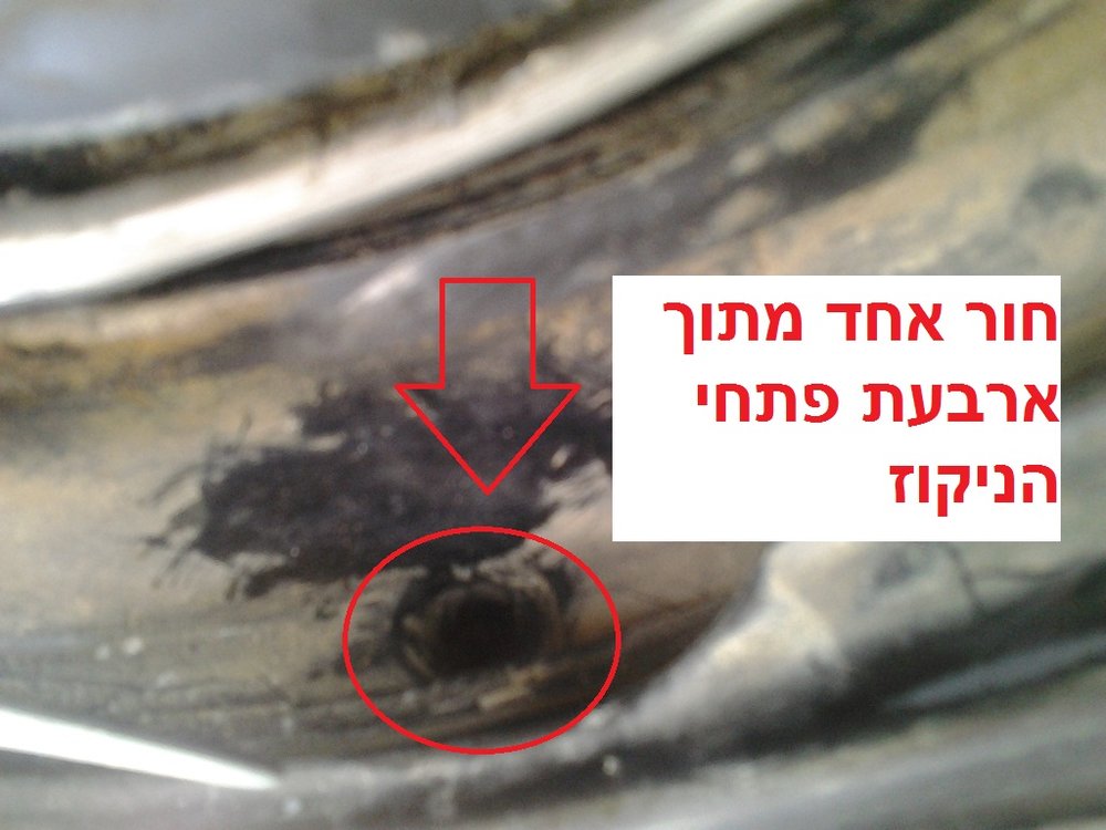 2011-09-25 10.30.46.jpg
