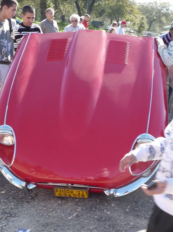 רמת הדסה 9.1.2010 046.jpg
