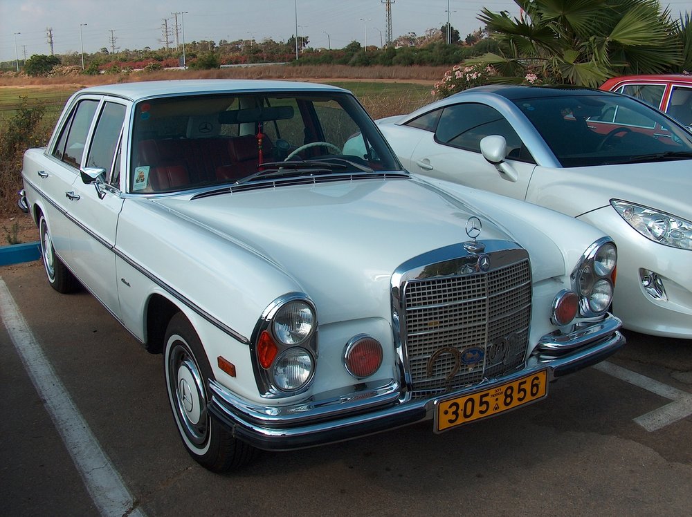 מפגש השרון בגעש  3.7.15 007.jpg