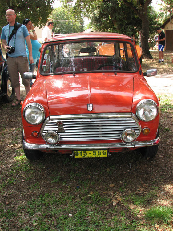 תמונה 305.jpg