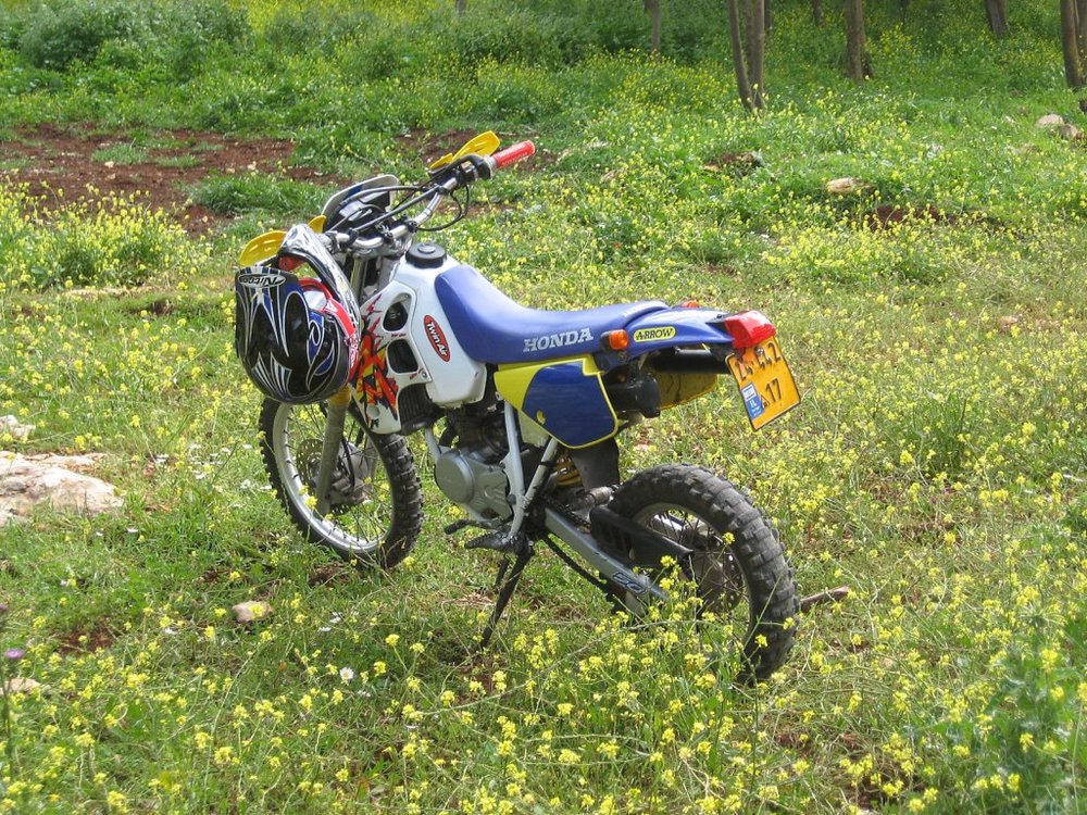 IMG_0960מספר קטן.jpg