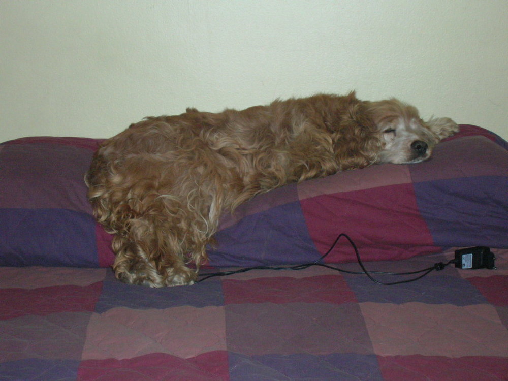 Fotos 019.jpg