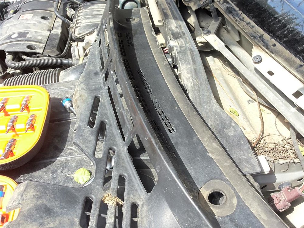 20150311_105534 (Medium).jpg