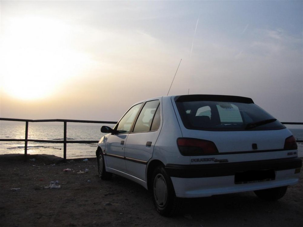 אמיר1 (Large).JPG