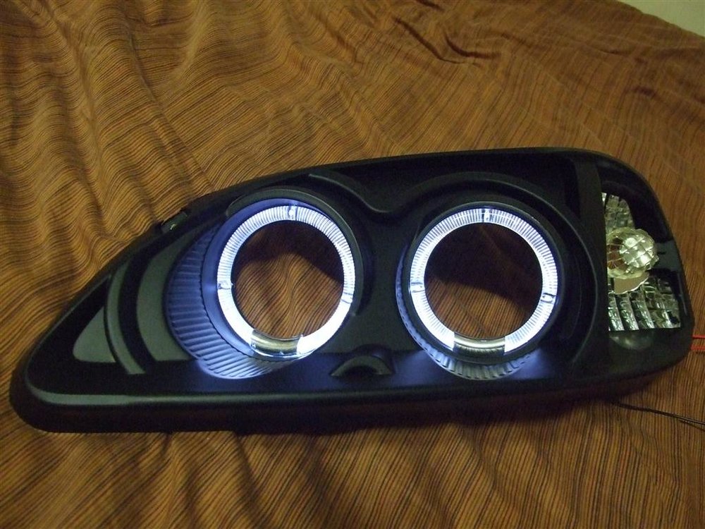 DSCF5102 (Large).jpg