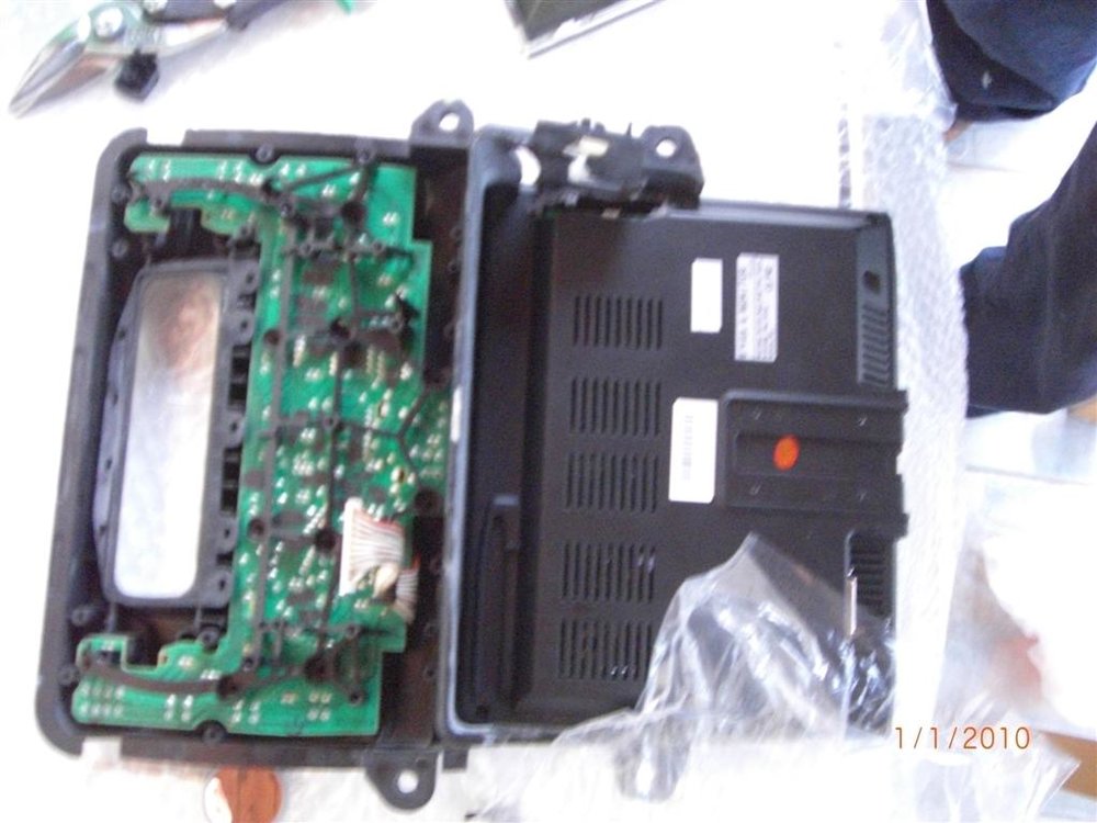 CIMG2555 (Large).JPG