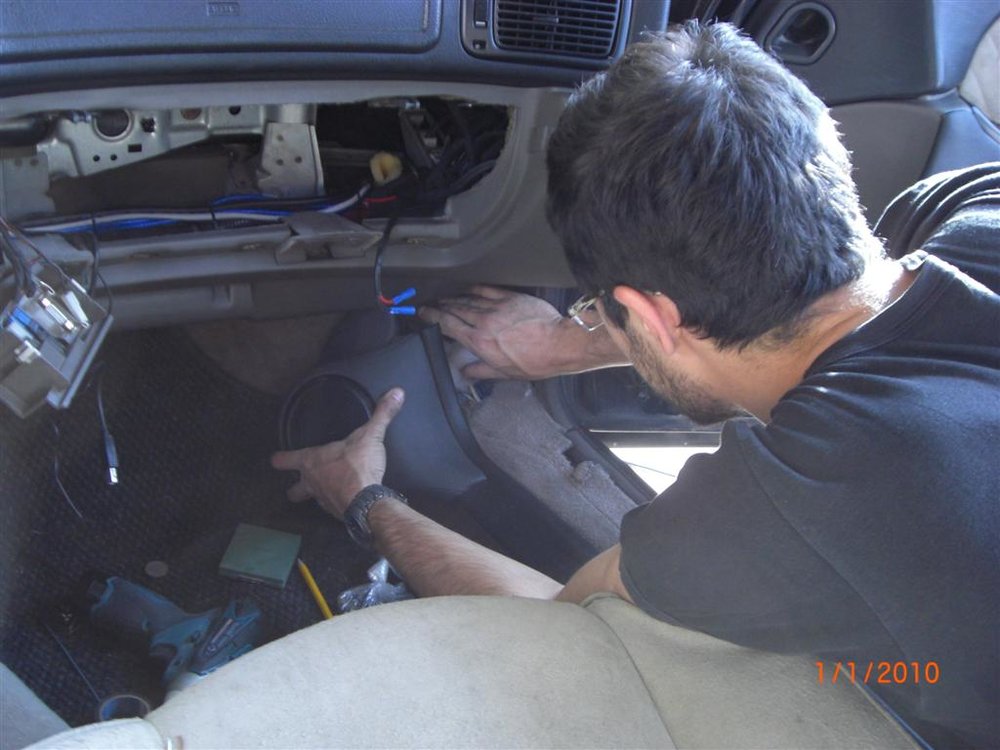 CIMG2537 (Large).JPG