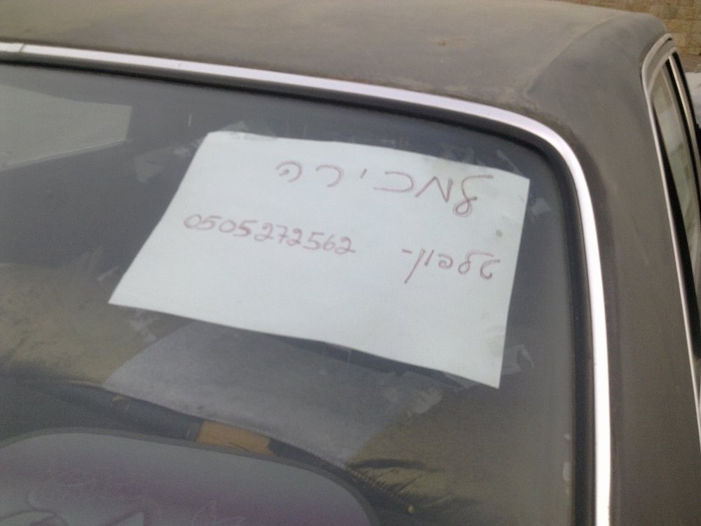 תמונה 081.jpg