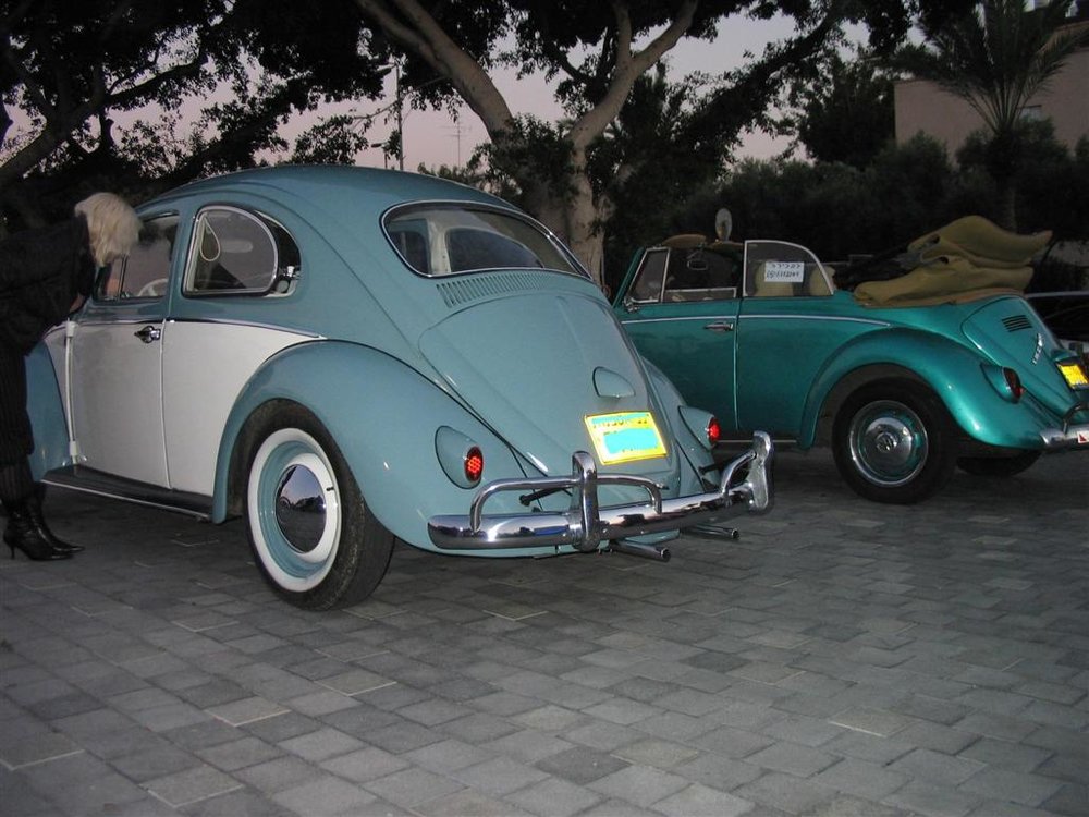 7 (Large).JPG