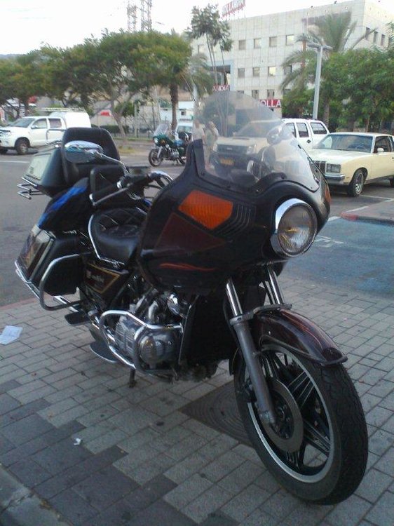 תצלום0237.jpg