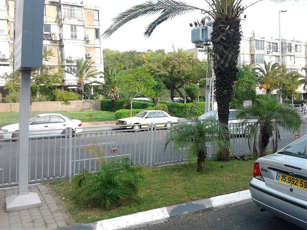 תמונה.jpg