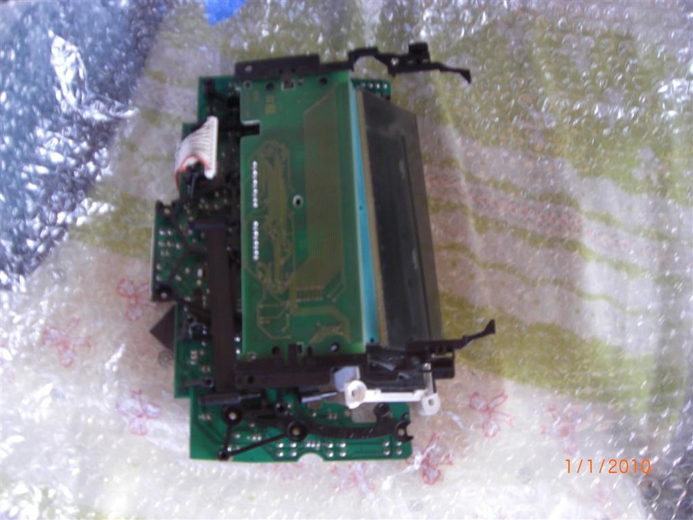 CIMG2549 (Large).JPG