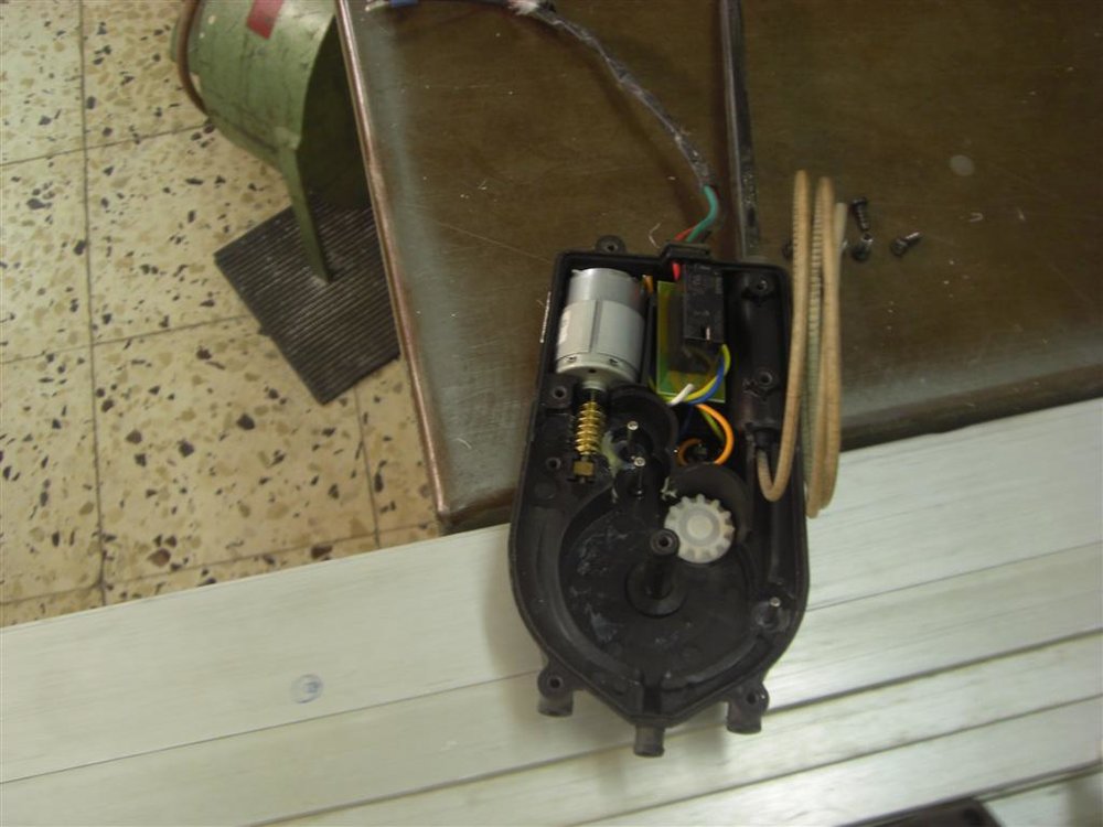 CIMG6060 (Large).JPG