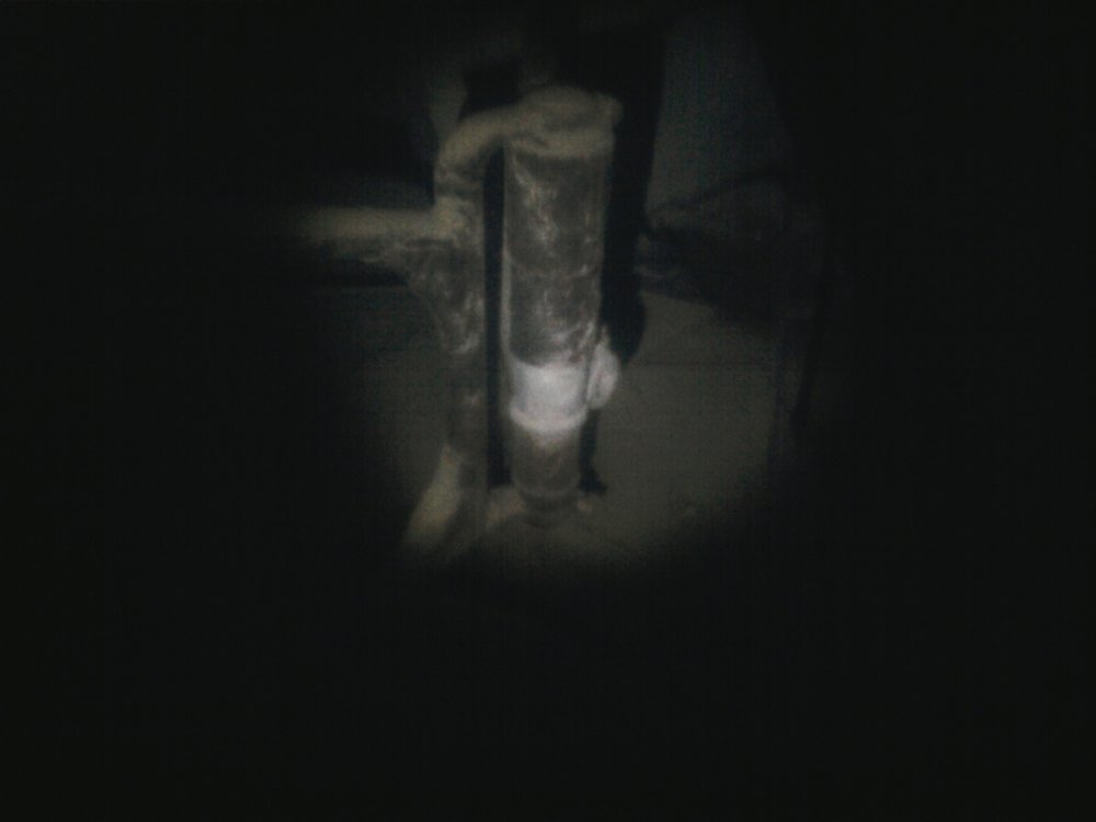 Picture 007.jpg