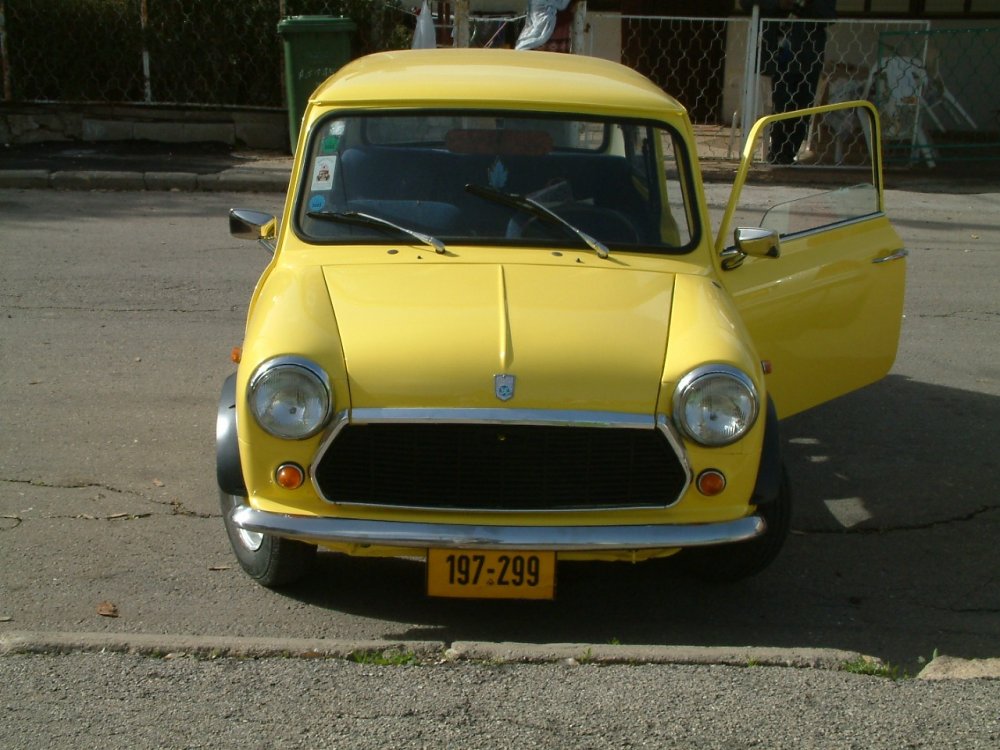 mini after resize 2.jpg