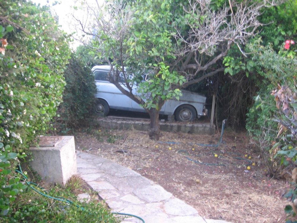 ‏‏עותק של IMG_7016.JPG