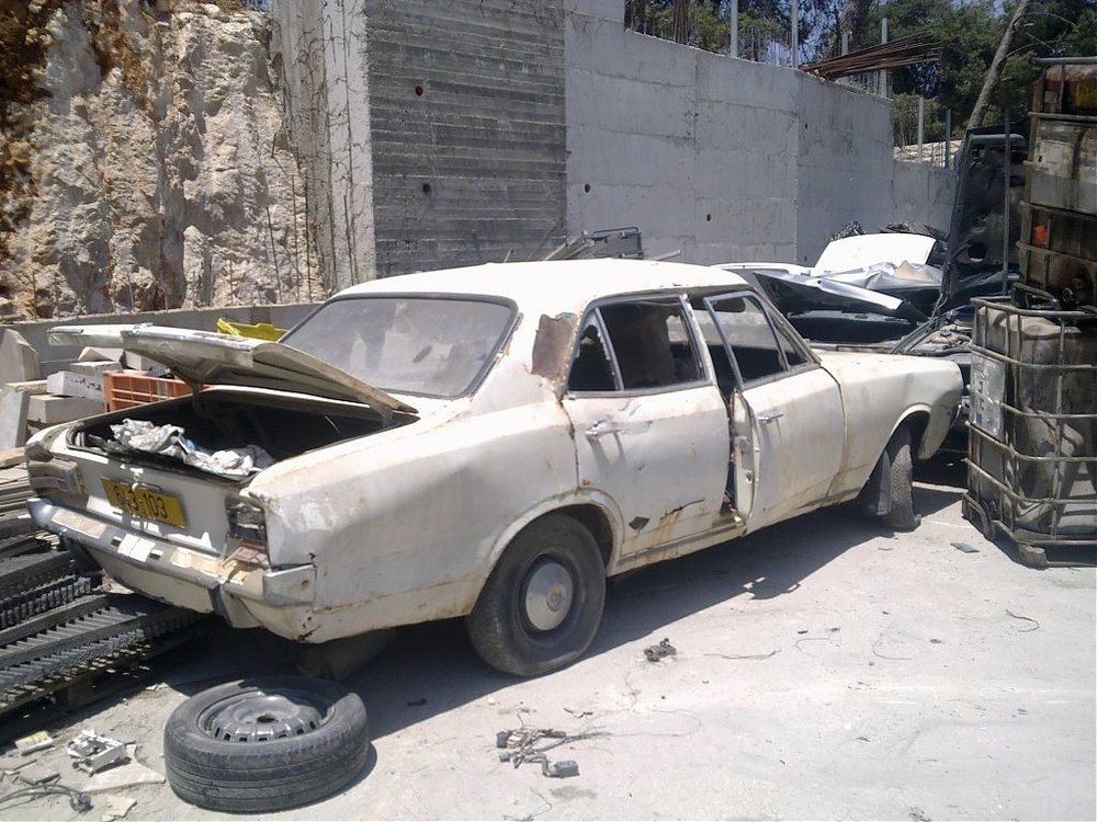 תמונה.jpg