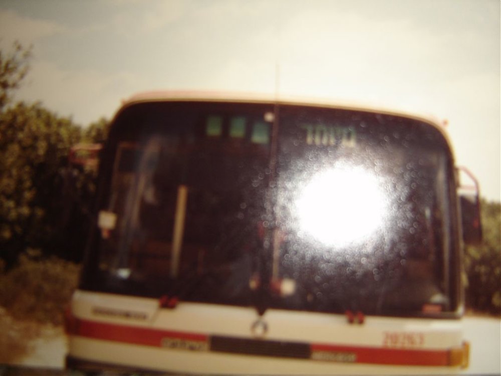 Picture 001.jpg