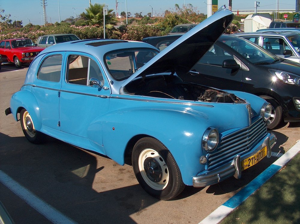 מפגש השרון בגעש  10.7.15 017.jpg