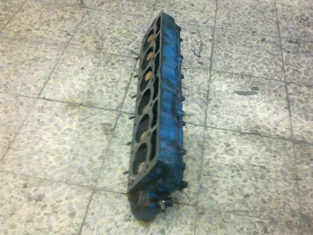 תמונה 175.jpg