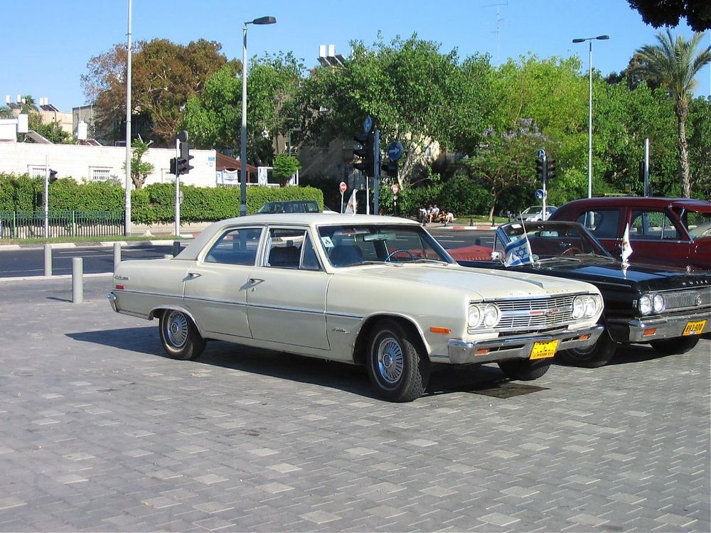 17.jpg