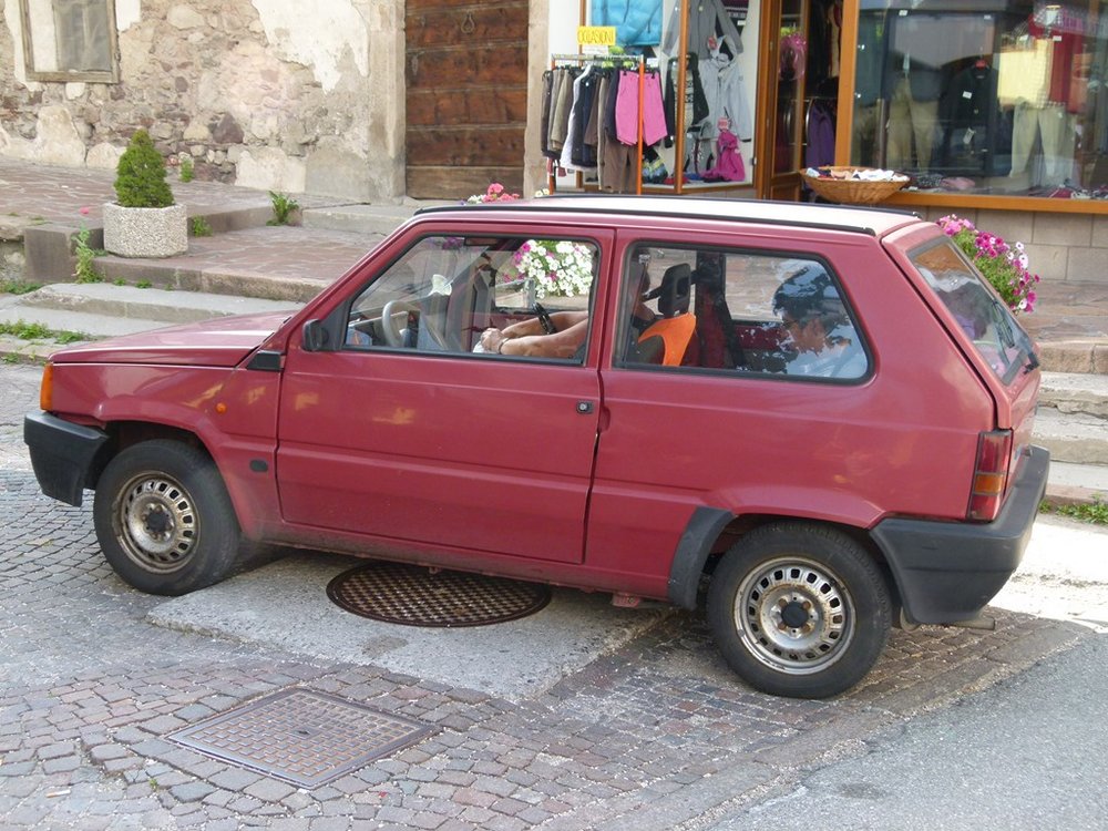 P1000410 (Copy).JPG