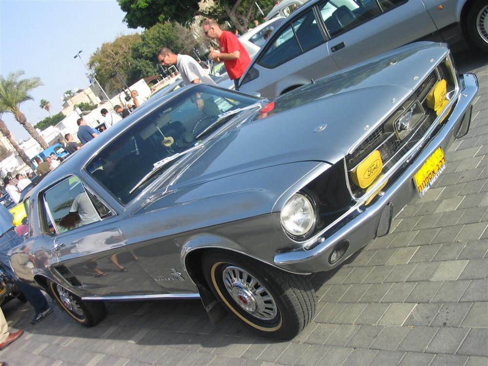 1 (Large).JPG
