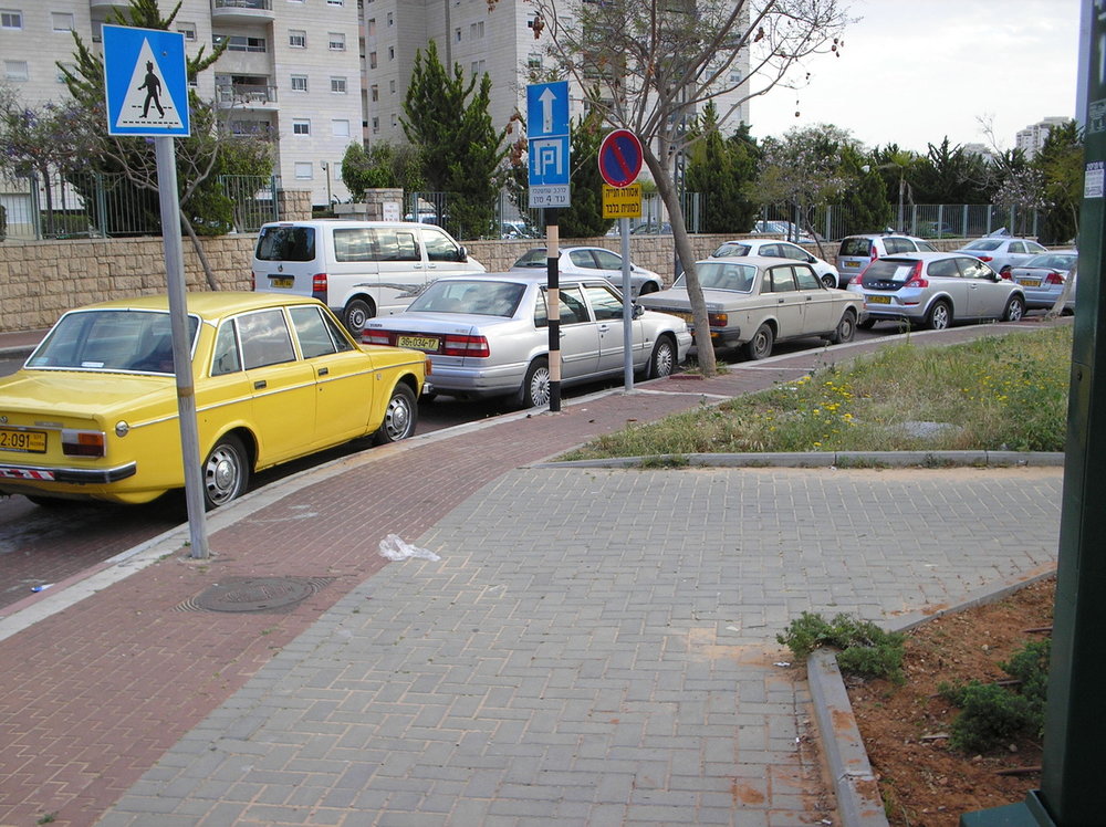 חתולים 045.jpg