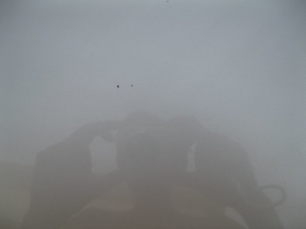 Picture 009.jpg