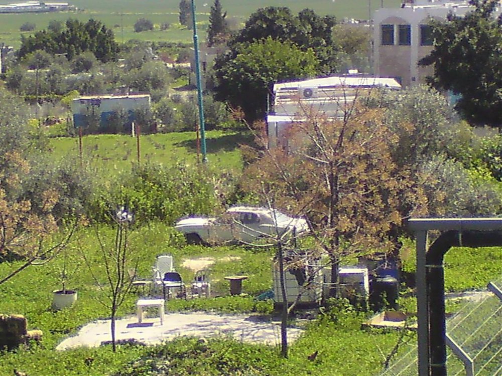 אספנות.jpg