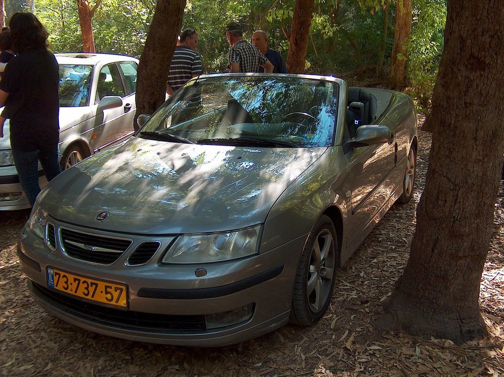 מפגש סאאב 160.jpg