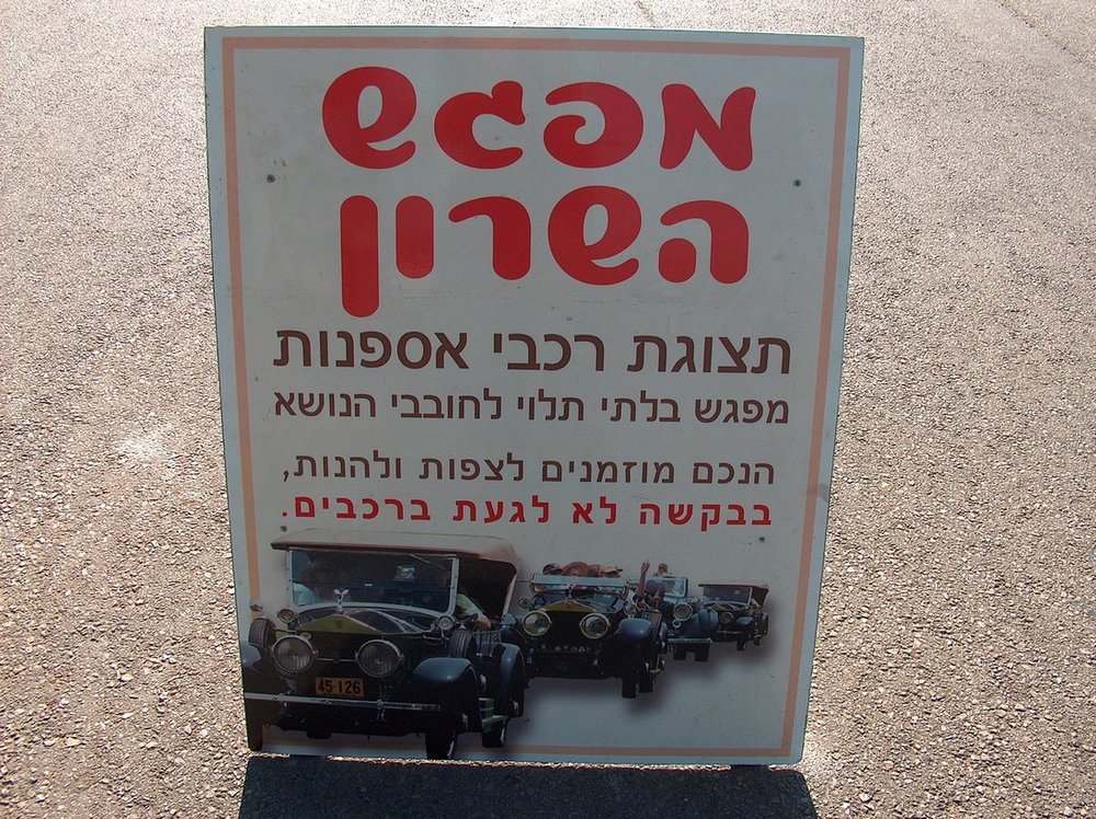 יעקובסון 002.jpg